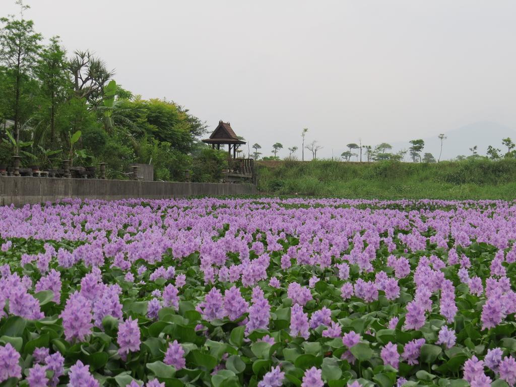 Beautiful Yilan Resort Dongshan  Zewnętrze zdjęcie